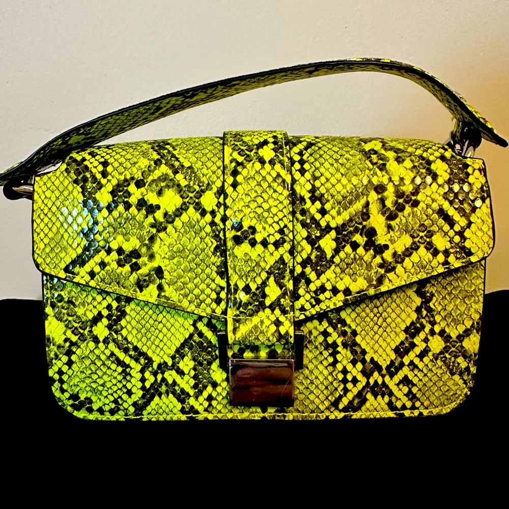 Zara Small Snake Bag